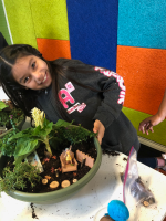 Showing off a fairy garden